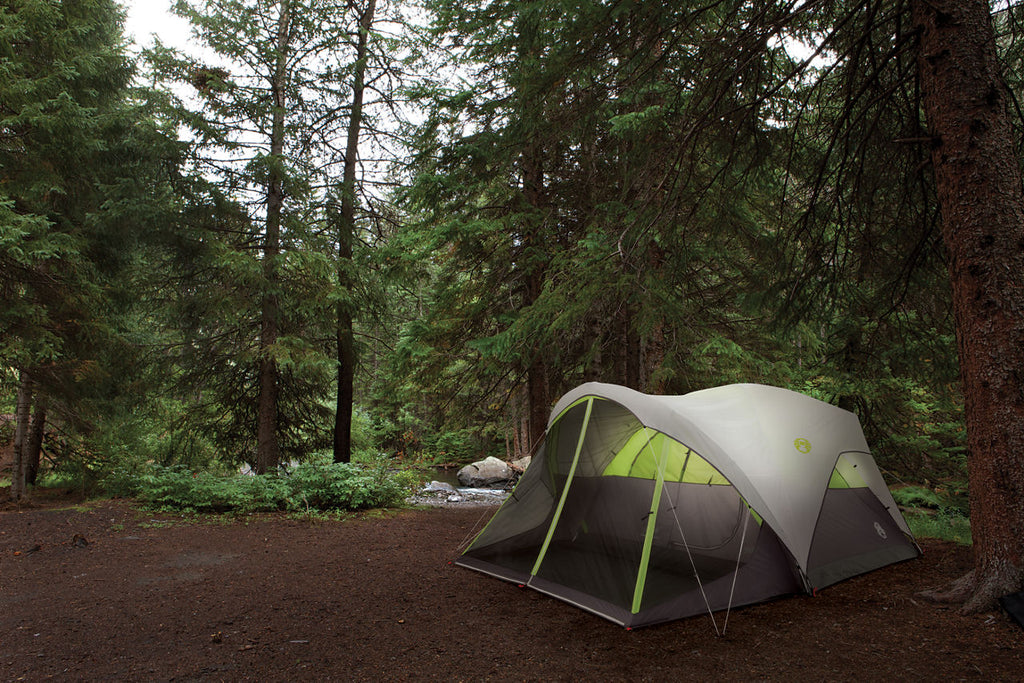 Coleman 6-Person Steel Creek™ Fast Pitch™ Dome Camping Tent with Screen Room | Green | 8 x 7 ft | Grey