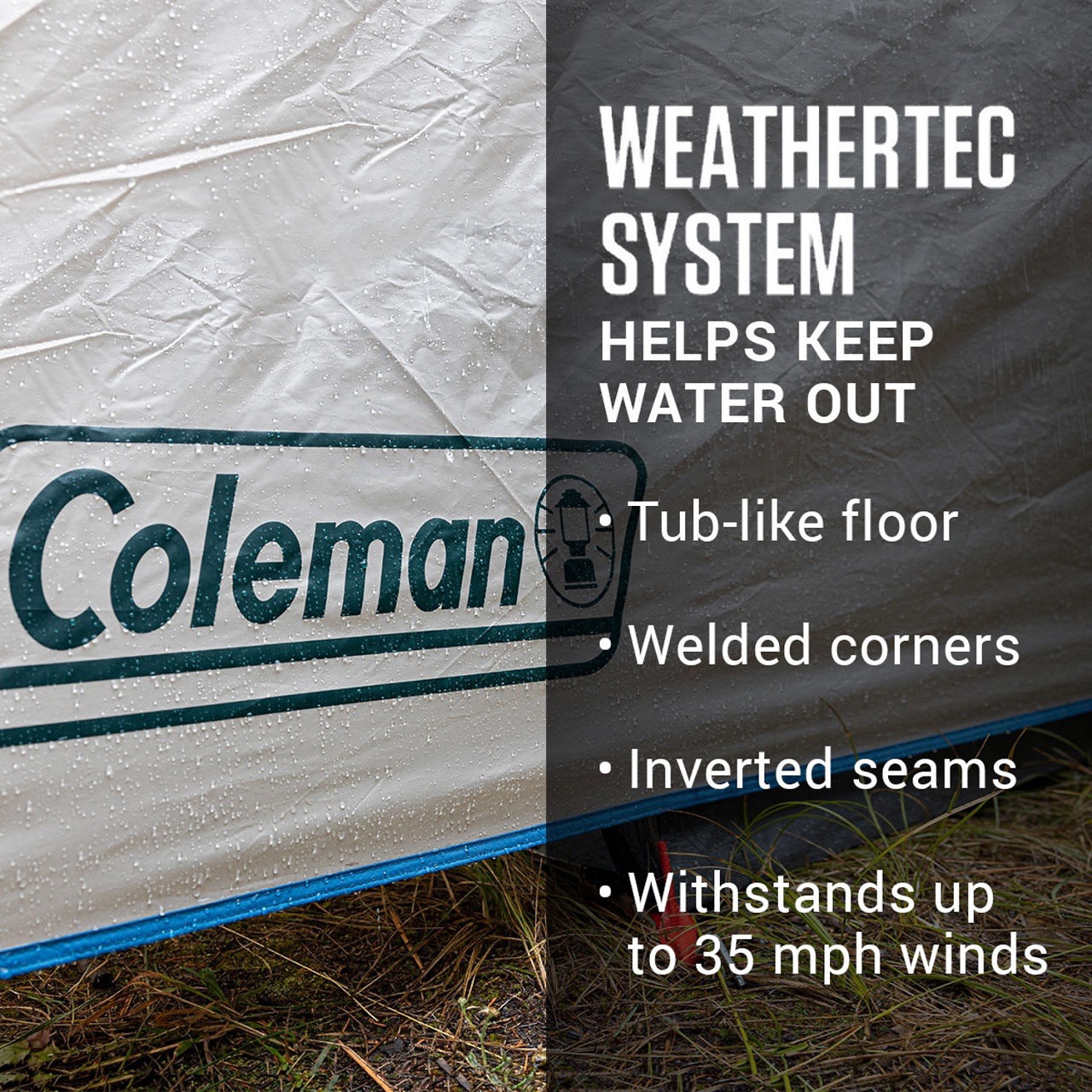 Coleman 6-Person Cabin Tent with Enclosed Weatherproof Screened Porch | Evergreen | Panoramic Windows | 13 x 10 ft