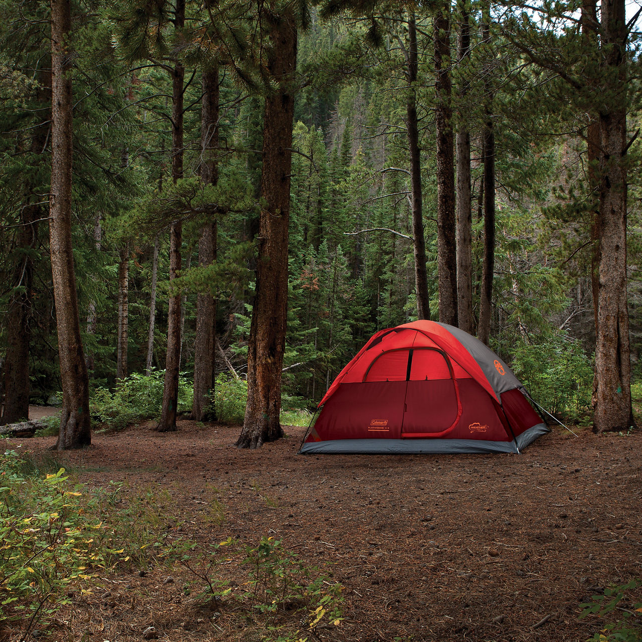 Coleman 4-Person Flatwoods II™ Lightweight Dome Camping Tent | 9 x 7 ft | Red