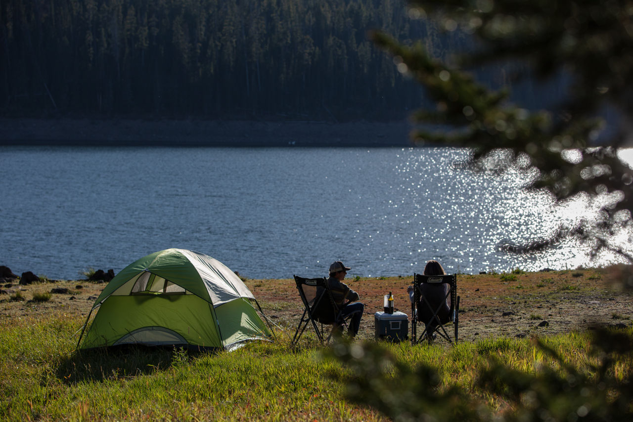 Coleman Sundome® 6-Person Camping Tent | 10 x 10 ft | Palm Green