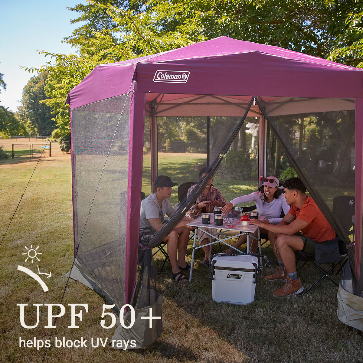 Coleman Back Home™ 10.5 x 9 Screen Canopy Tent | Blackberry