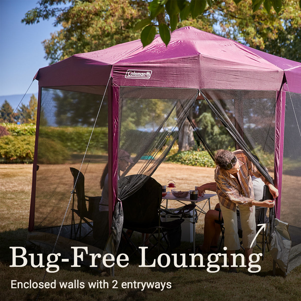 Coleman Back Home™ 10.5 x 9 Screen Canopy Tent | Blackberry