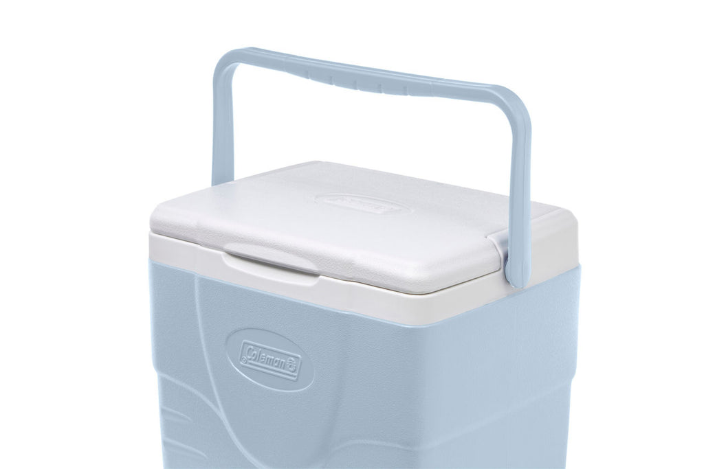 Coleman Chiller™ 9-Quart Portable Cooler | Fog