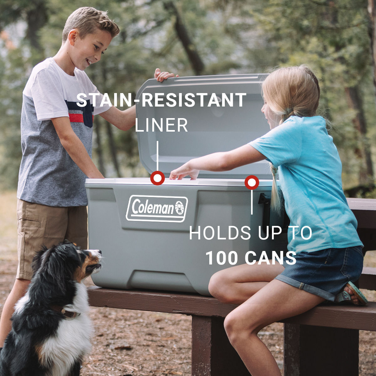 Coleman Classic Series 70-Quart Hard Cooler | Fully Insulated | Keeps Ice Up To 5 Days | Have-A-Seat Lid supports up to 250 lb. | Rock | Cup Holder