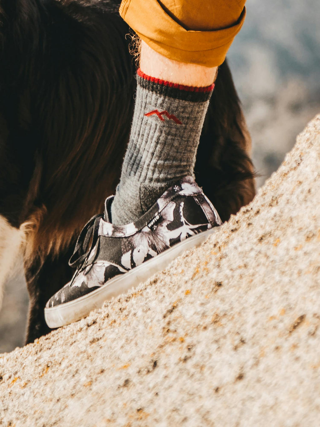 Marmot Darn Tough Men's Hiker Boot Midweight Hiking Socks in Darn Tough Charcoal | Merino Wool