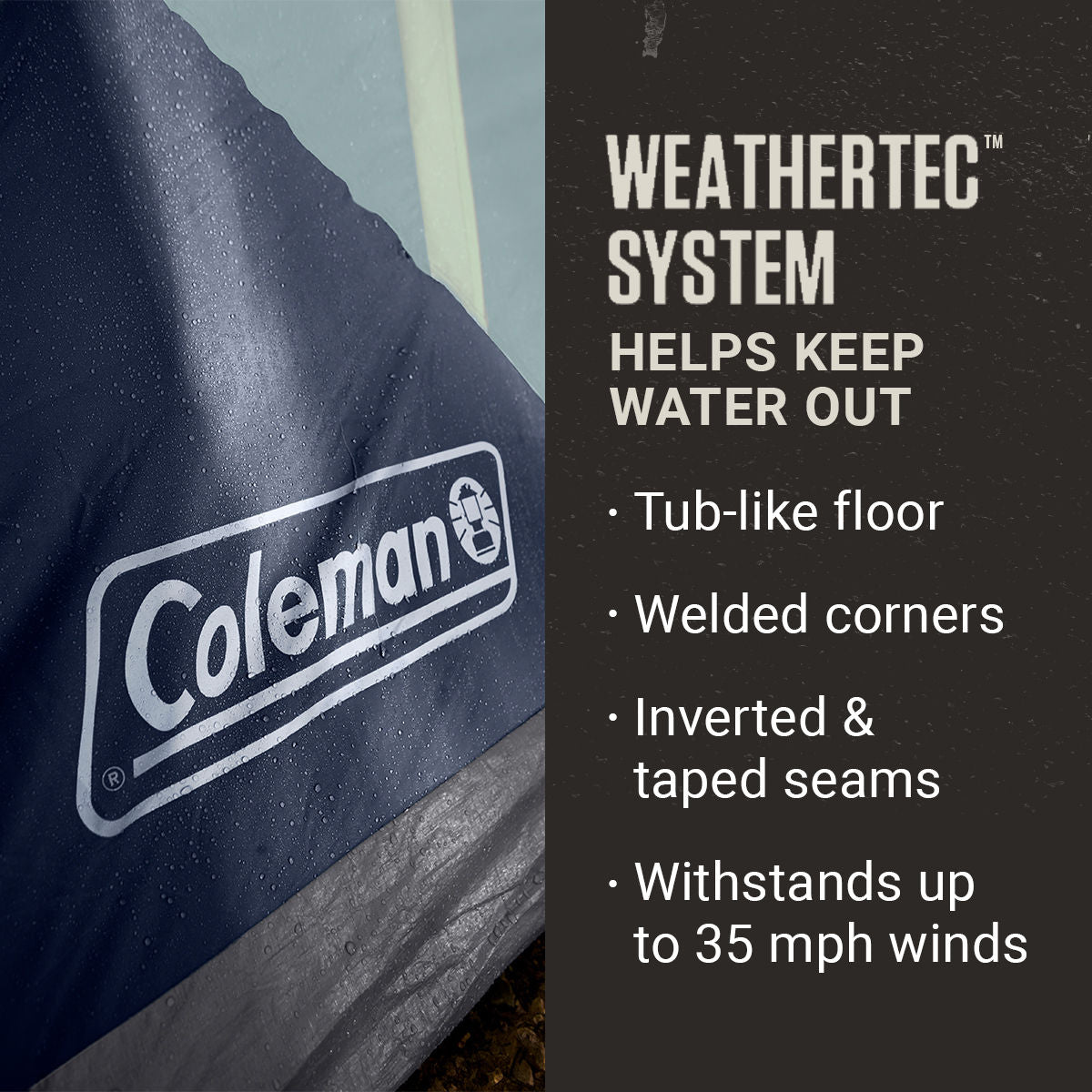 Coleman Skydome™ 12-Person Camping Tent XL | Blue Nights | 20 x 9 ft