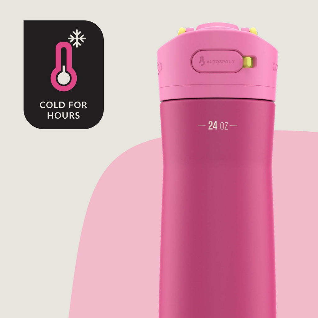 Contigo® Ashland Chill 2.0 Stainless Steel Water Bottle with AUTOSPOUT® Lid | 24oz | Wildberry | Cup Holder