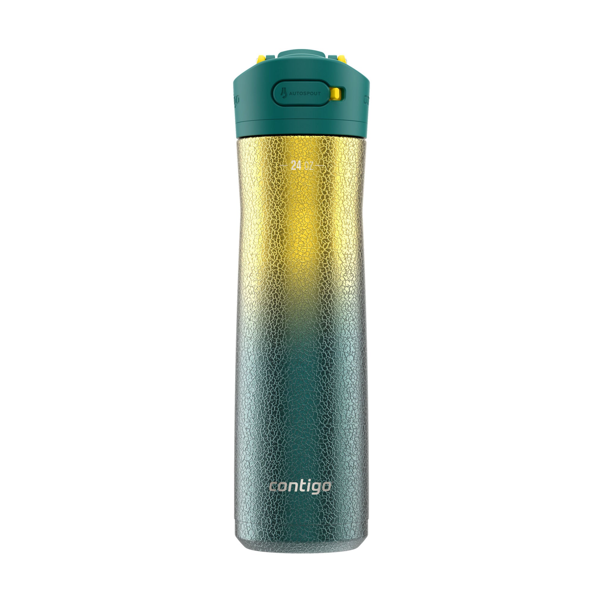 Contigo® Ashland Chill 2.0 Stainless Steel Water Bottle with AUTOSPOUT® Lid | 24oz | Pineapple Ombre | Cup Holder