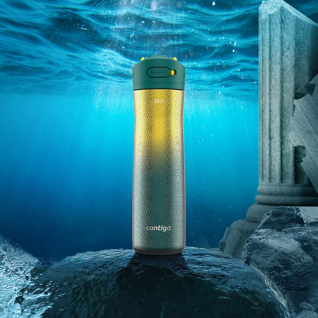 Contigo® Ashland Chill 2.0 Stainless Steel Water Bottle with AUTOSPOUT® Lid | 24oz | Pineapple Ombre | Cup Holder