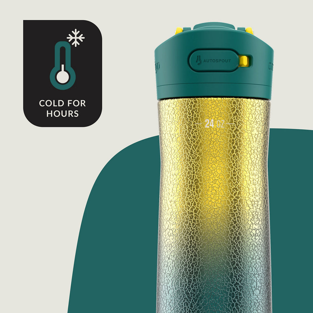 Contigo® Ashland Chill 2.0 Stainless Steel Water Bottle with AUTOSPOUT® Lid | 24oz | Pineapple Ombre | Cup Holder