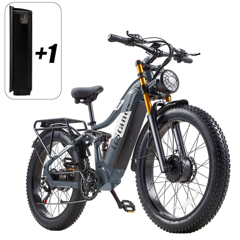 RX30 AWD - 3000W (Dual Battery) / Gray
