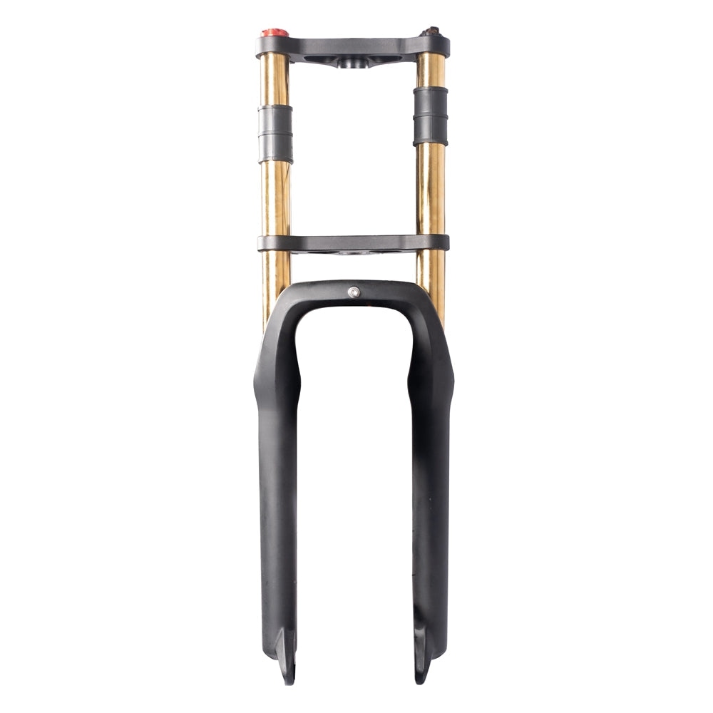 Double Crown Front Fork - U8