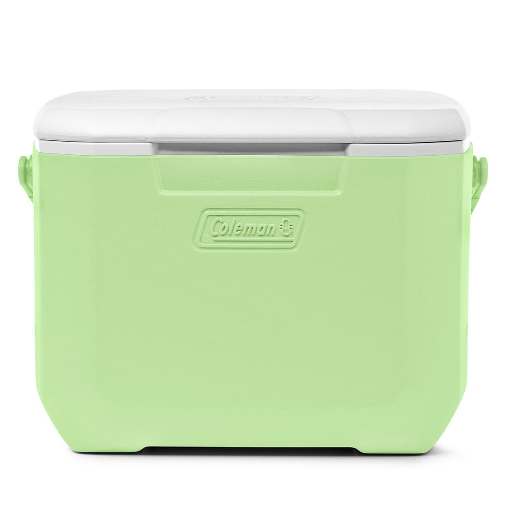 Coleman Chiller™ 16-Quart Portable Cooler | Cucumber