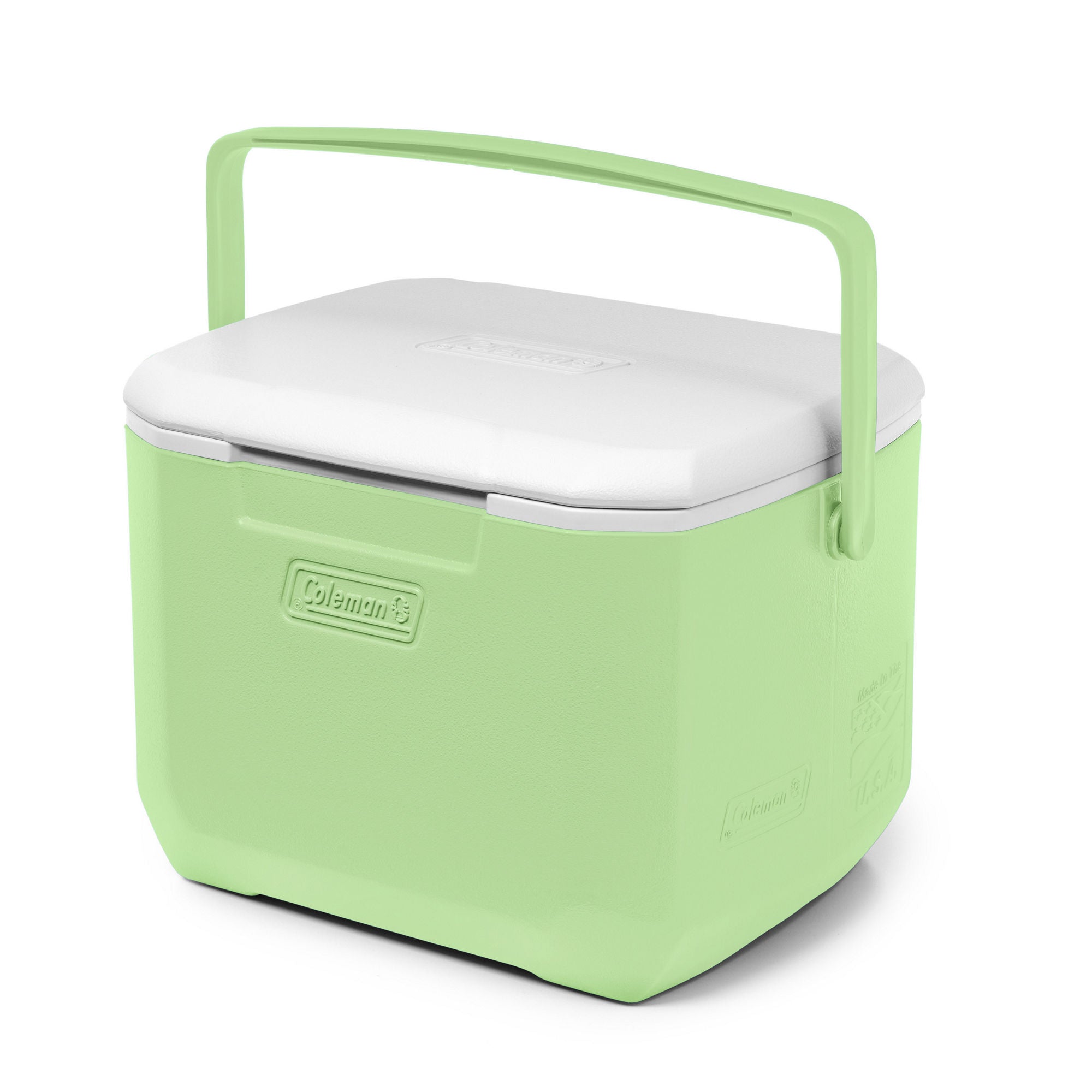 Coleman Chiller™ 16-Quart Portable Cooler | Cucumber