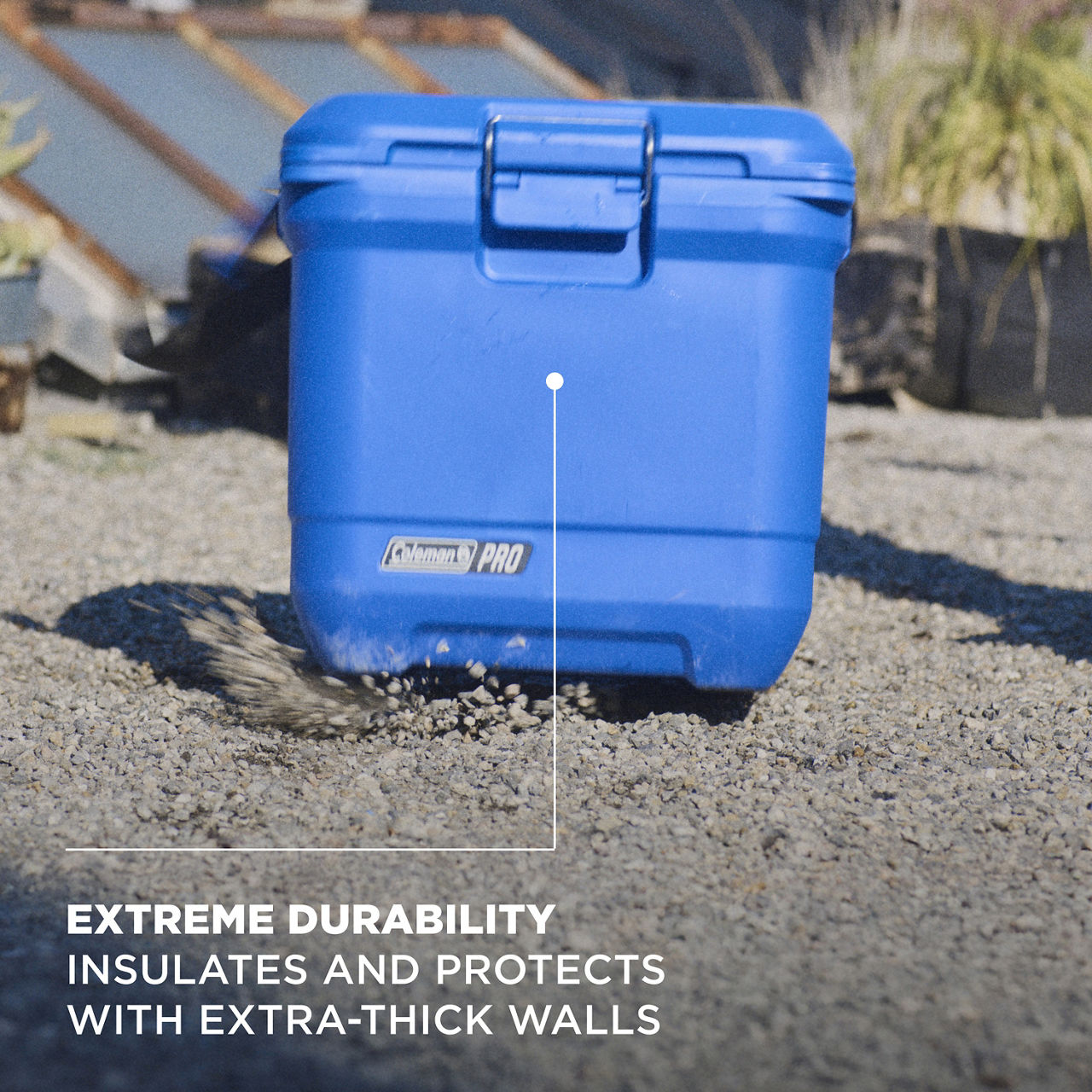 Coleman® Pro 25-Quart Hard Cooler | Neptune