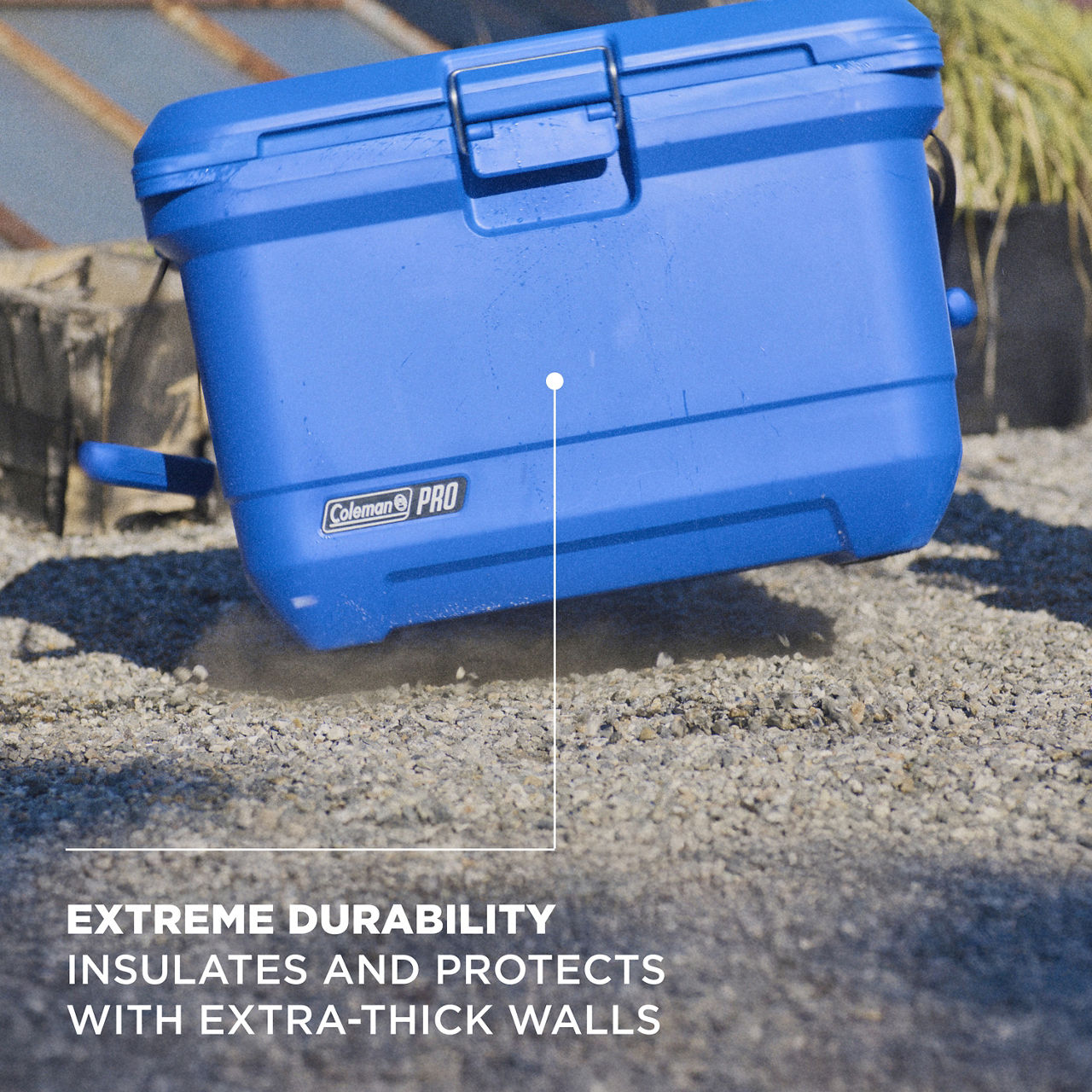 Coleman® Pro 45-Quart Hard Cooler | Neptune