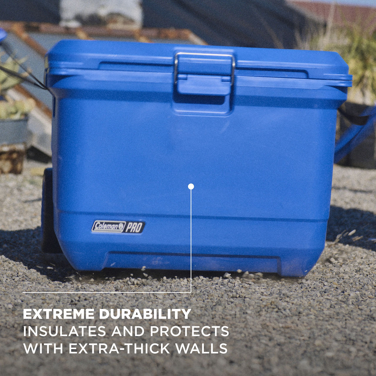 Coleman® Pro 55-Quart Wheeled Hard Cooler | Neptune