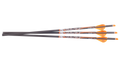 Ravin .003 Match-Grade* Lighted Arrows