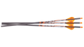 Ravin .001 Premium Match-Grade* Lighted Arrows