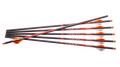 Ravin .003 Arrows
