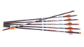 Ravin .001 Premium Arrows