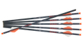 Ravin .003 R18 Arrows