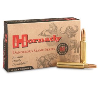 Hornady, .375 Ruger, DGS, 300 Grain, 20 Rounds