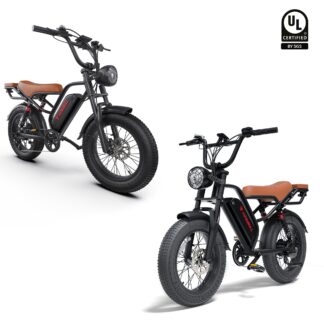 Double Kingbull Ranger Electric Bike Combo