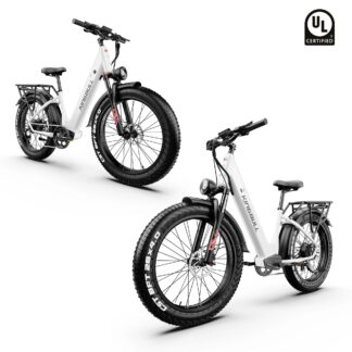 Double Kingbull Discover ST 2.0 Electric Bike Combo