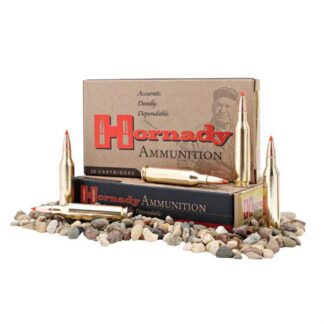 Hornady Custom, .300 AAC Blackout, FTX, 135 Grain, 20 Rounds