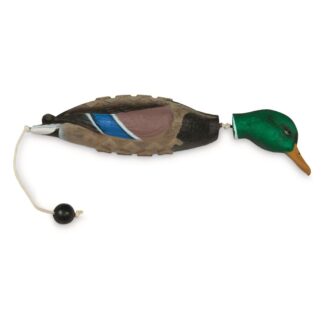 Avery ASD EZ Bird Trainers