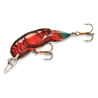 Rebel Middle Wee Crawfish