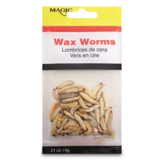 Magic Bait Preserved Wax Worms