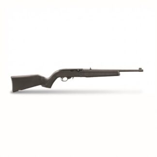Ruger 10/22, Semi-Auto, 22 LR, 16.4" Barrel, 10+1 Rounds