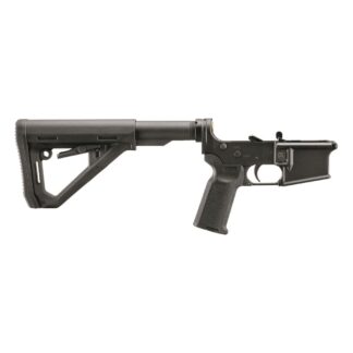 Ruger AR Lower, Magpul MOE-K2 Grip, Magpul DT Carbine Stock, Ruger Elite 452 Trigger