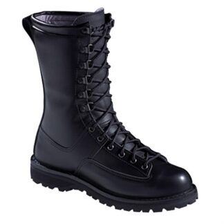Men's Danner® Elite Series Fort Lewis 10" Boots, Black