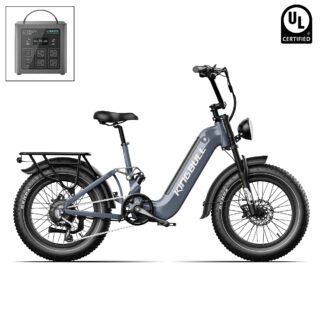 Kingbull Jumper Go Full-Suspension All-Terrain Electric Bike