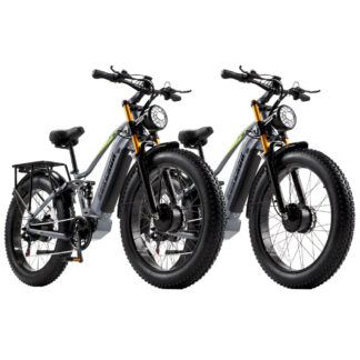 RX80 AWD Electric Bike Combo