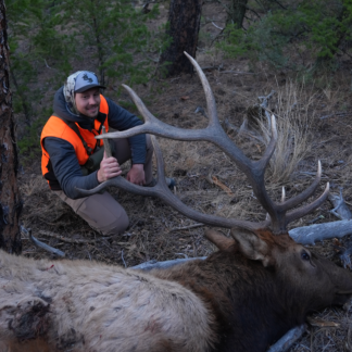Mid Season Elk Bundle